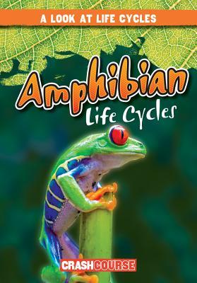 Amphibian-Life-Cycles-by-Bray-Jacobson