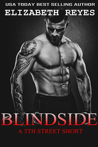 Blindside-A-5th-Street-Short-Story-by-Elizabeth-Reyes-EPUB-PDF