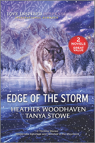 Edge-of-the-Storm-by-Heather-Woodhaven-Tanya-Stowe-EPUB-PDF