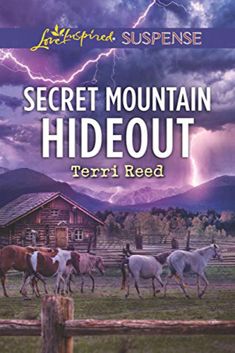 Secret-Mountain-Hideout-by-Terri-Reed-EPUB-PDF