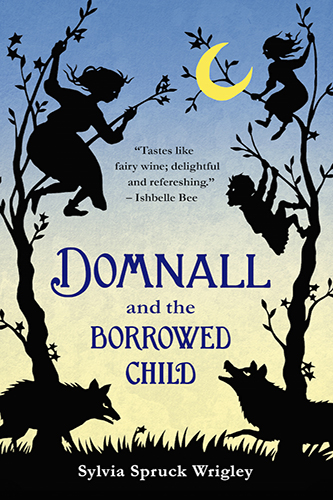 Domnall-and-the-Borrowed-Child-by-Sylvia-Spruck-Wrigley-PDF-EPUB