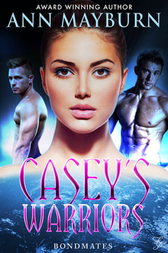 Caseys-Warriors-by-Ann-Mayburn-PDF-EPUB