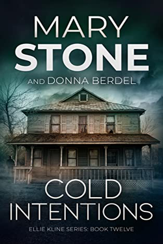 Cold-Intentions-by-Mary-Stone-PDF-EPUB