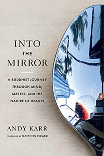 Into-the-Mirror-by-Andy-Karr-PDF-EPUB