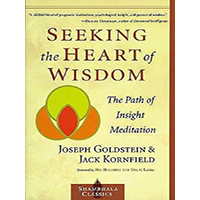 Seeking-the-Heart-of-Wisdom-by-Joseph-Goldstein-PDF-EPUB