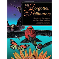 The-Forgotten-Pollinators-by-Stephen-L-Buchmann-PDF-EPUB