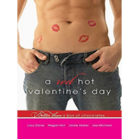 A-Red-Hot-Valentines-Day-by-Megan-Hart-PDF-EPUB