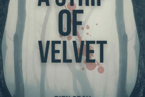 A-Strip-of-Velvet-by-Rien-Gray-PDF-EPUB