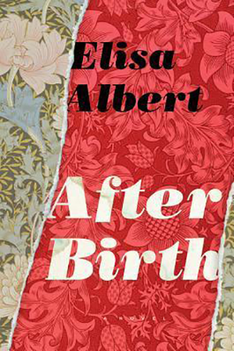 After-Birth-by-Elisa-Albert-PDF-EPUB