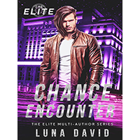 Chance-Encounter-by-Luna-David-PDF-EPUB