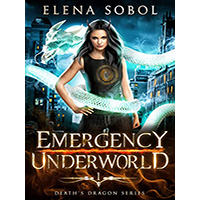 Emergency-Underworld-by-Elena-Sobol-PDF-EPUB