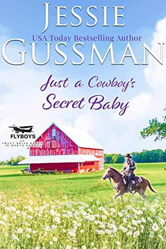 Just-a-Cowboys-Secret-Baby-by-Jessie-Gussman-PDF-EPUB