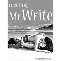 Meeting-Mr-Write-by-Cassandra-P-Lewis-PDF-EPUB