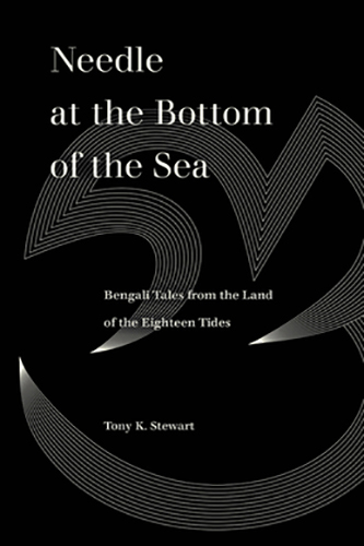 Needle-at-the-Bottom-of-the-Sea-by-Tony-K-Stewart-PDF-EPUB