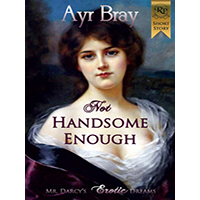 Not-Handsome-Enough-by-Ayr-Bray-PDF-EPUB