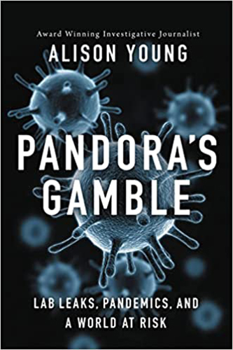 Pandoras-Gamble-by-Alison-Young-PDF-EPUB