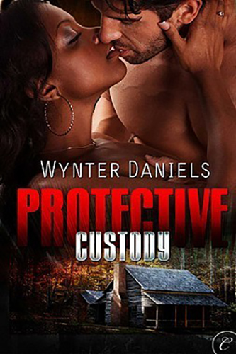 Protective-Custody-by-Wynter-Daniels-PDF-EPUB