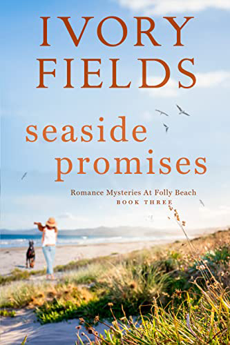 Seaside-Promises-3-by-Ivory-Fields-PDF-EPUB