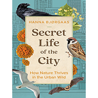 Secret-Life-of-the-City-by-Hanna-Hagen-Bjorgaas-PDF-EPUB