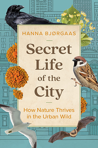 Secret-Life-of-the-City-by-Hanna-Hagen-Bjorgaas-PDF-EPUB