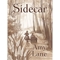 Sidecar-by-Amy-Lane-PDF-EPUB