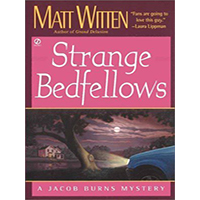 Strange-Bedfellows-by-Matt-Witten-PDF-EPUB