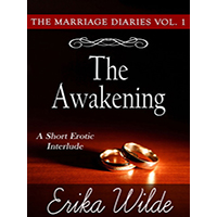 The-Awakening-by-Erika-Wilde-PDF-EPUB