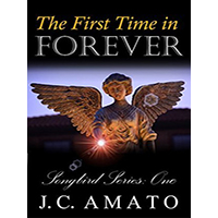 The-First-Time-in-Forever-by-JC-Amato-PDF-EPUB