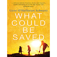 What-Could-Be-Saved-by-Liese-OHalloran-Schwarz-PDF-EPUB