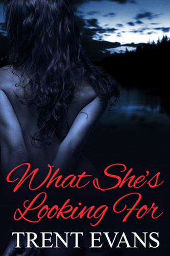What-Shes-Looking-For-by-Trent-Evans-PDF-EPUB