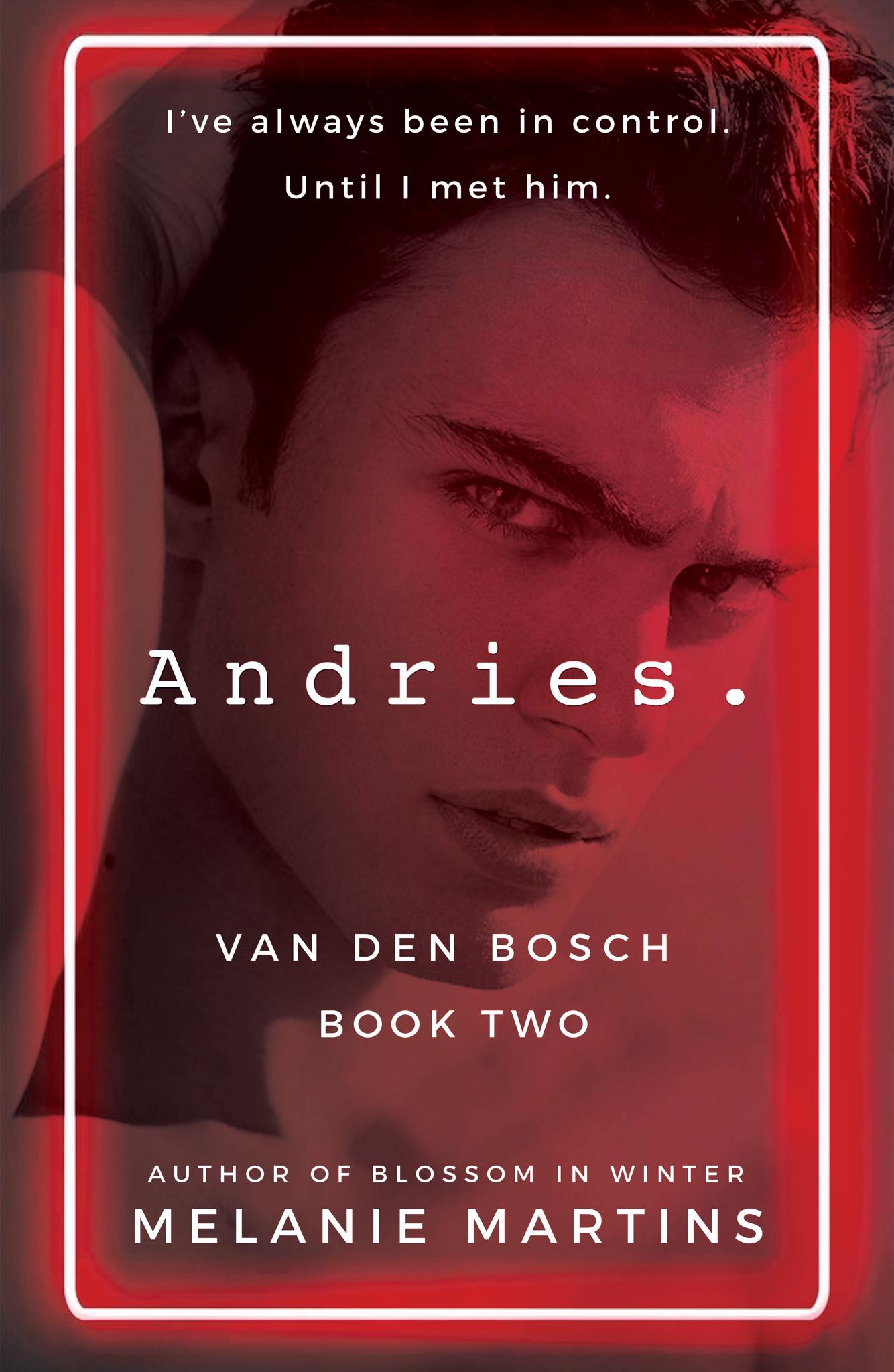 Andries-by-Melanie-Martins-PDF-EPUB