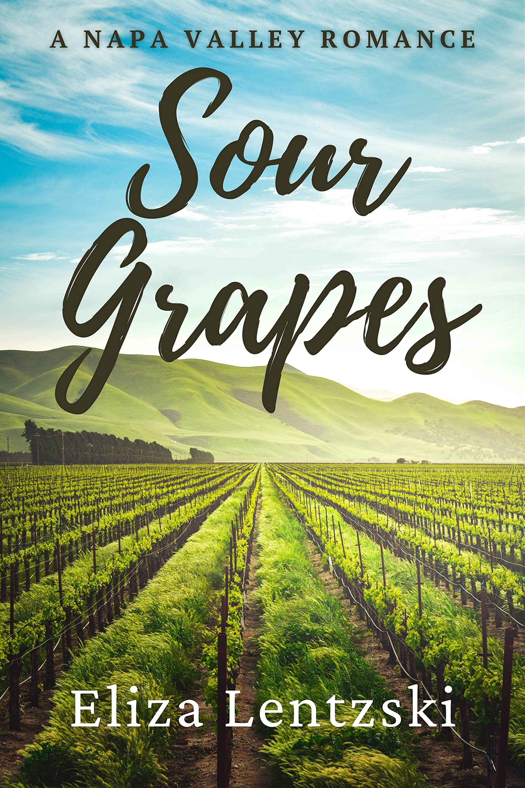 Sour-Grapes-by-Eliza-Lentzski-PDF-EPUB