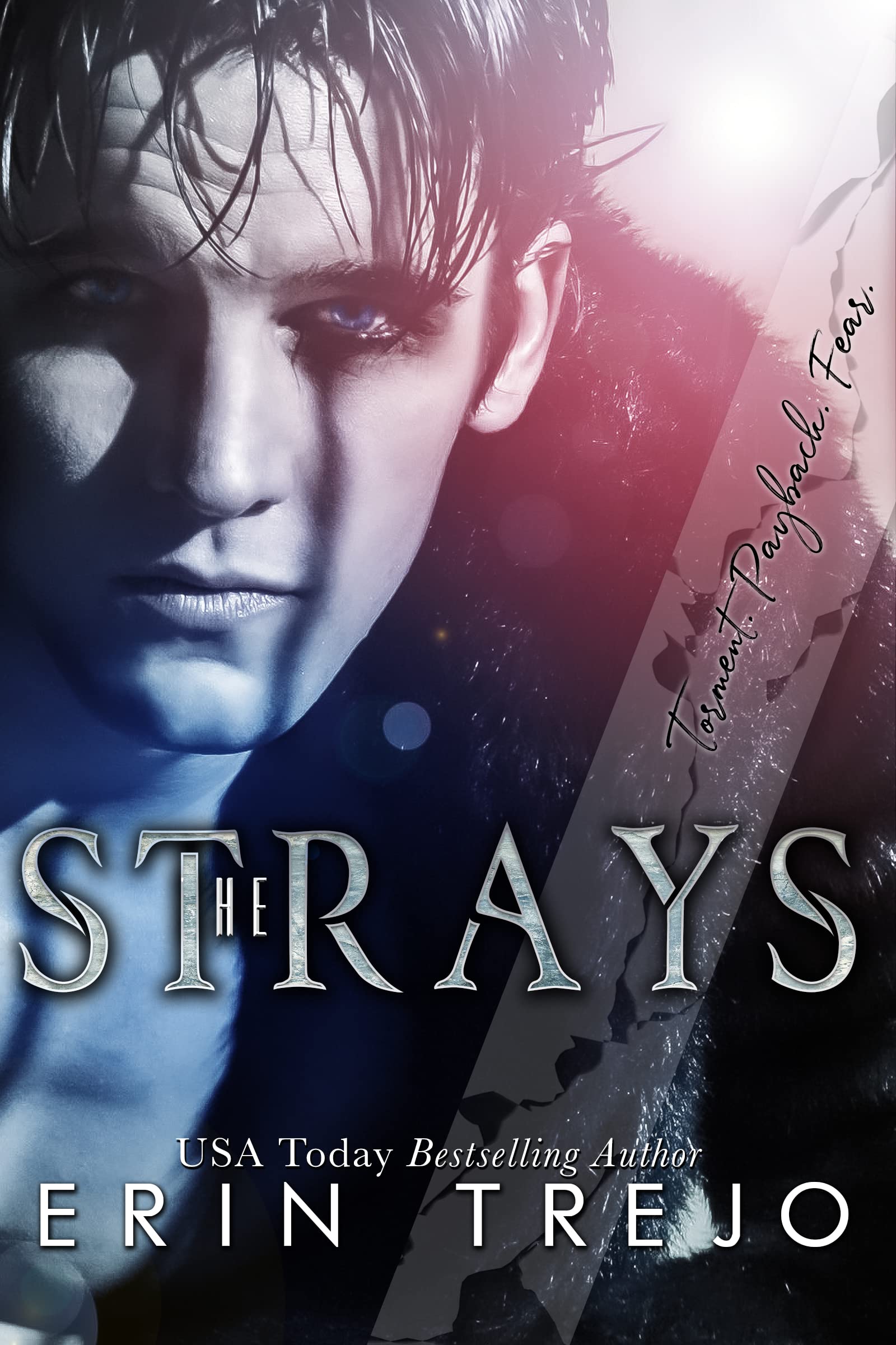 The-Strays-by-Erin-Trejo-PDF-EPUB