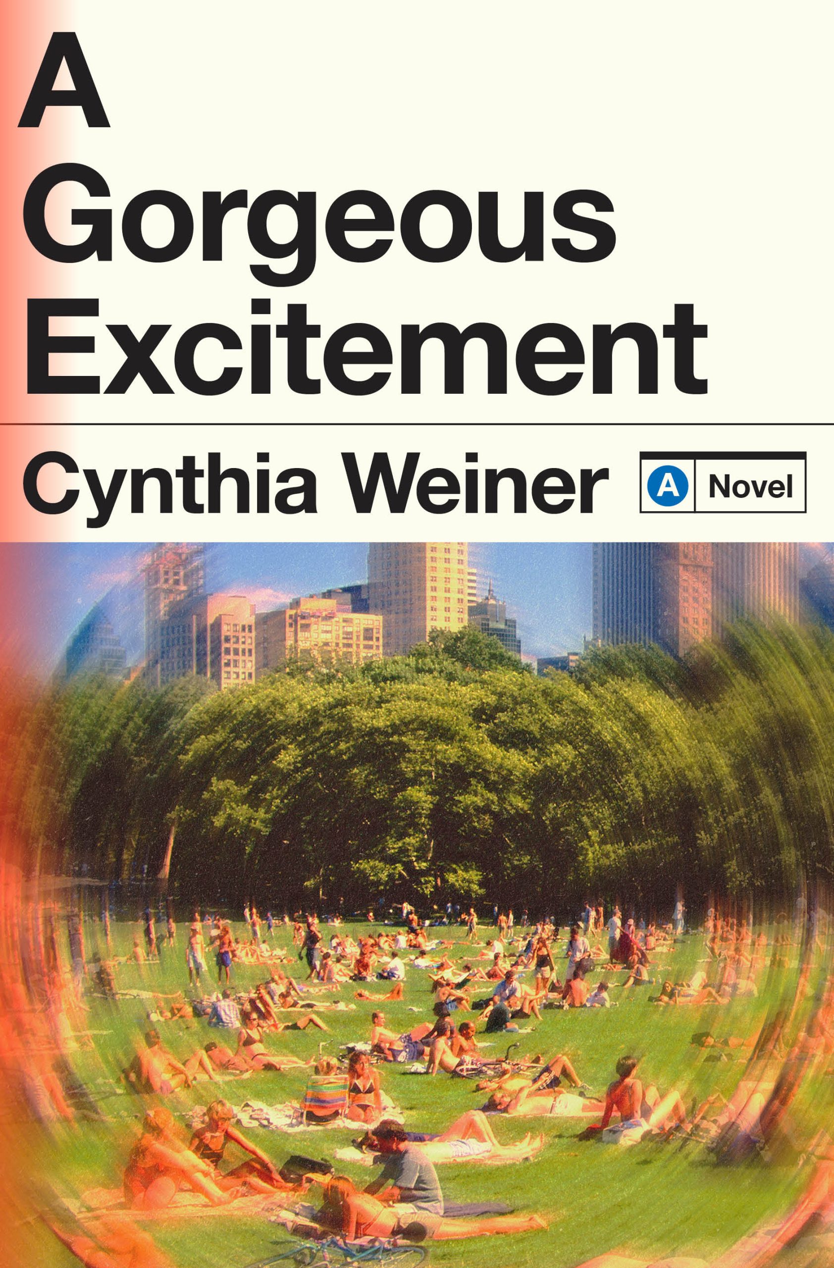 A-Gorgeous-Excitement-by-Cynthia-Weiner-PDF-EPUB.jpg