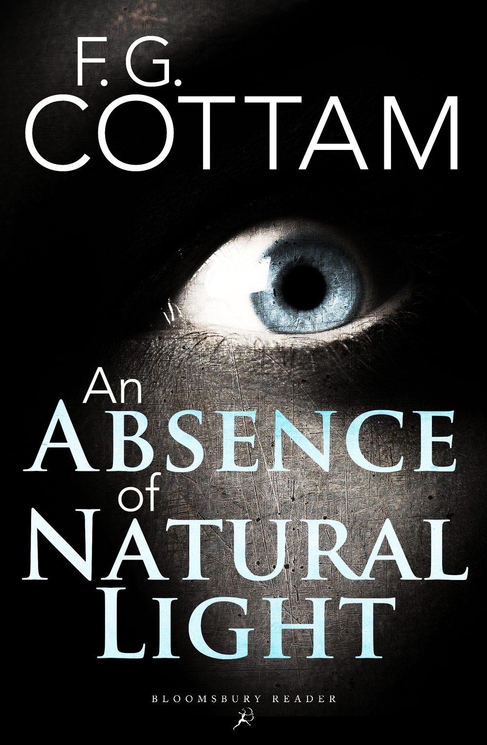 An-Absence-of-Natural-Light-by-FG-Cottam-PDF-EPUB.jpg