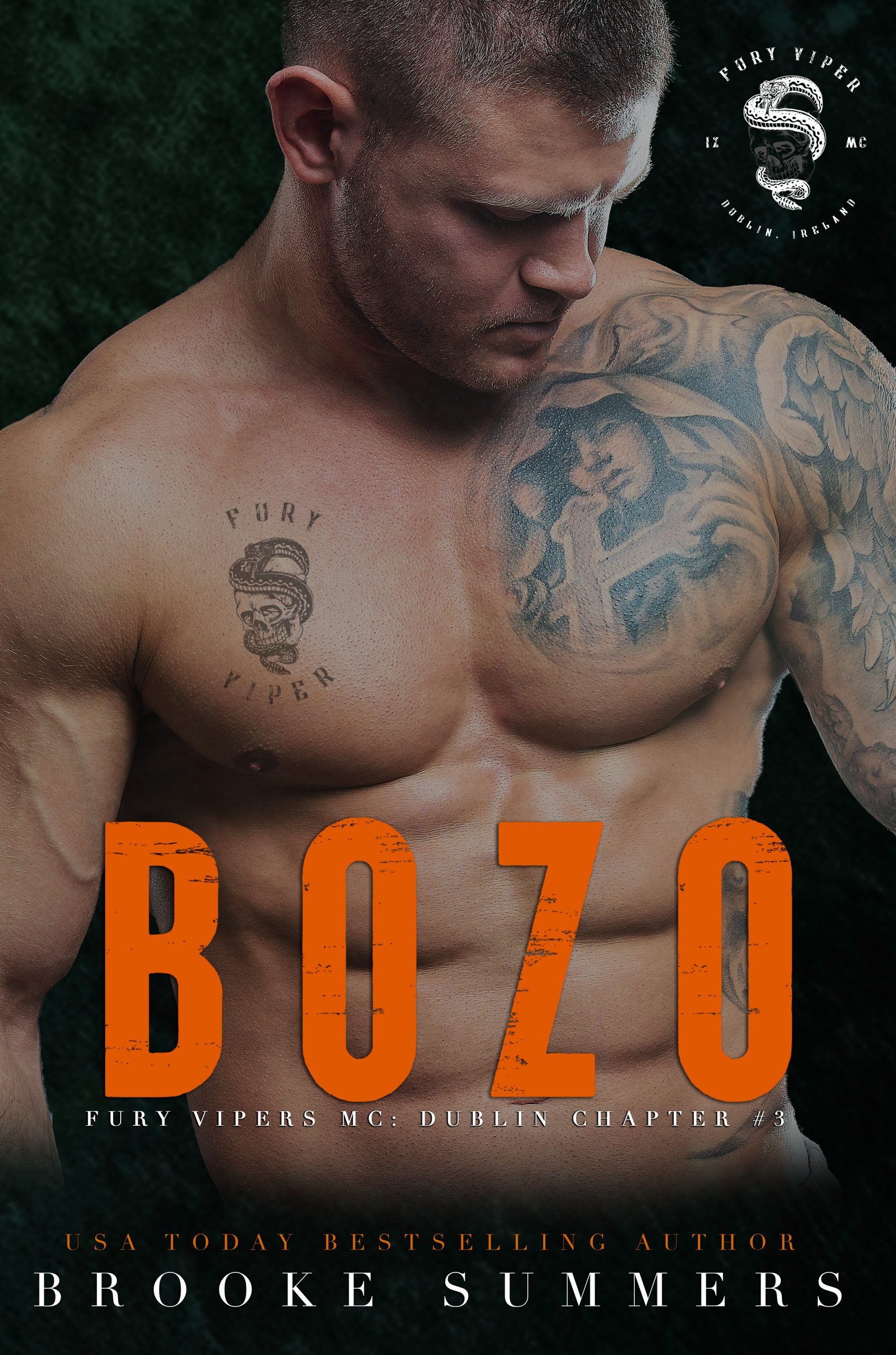 Bozo-by-Brooke-Summers-PDF-EPUB.jpg