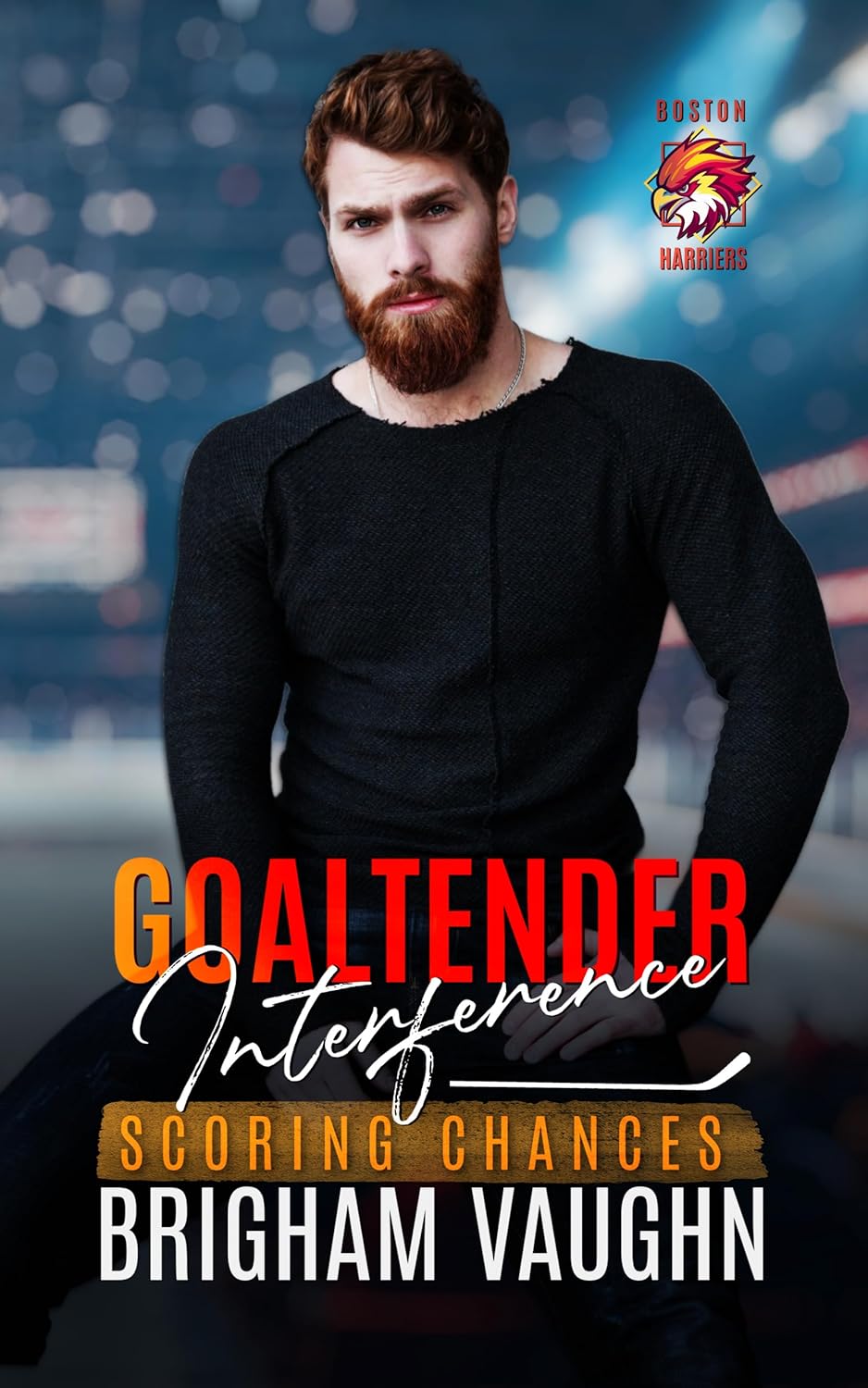 Goaltender-Interference-by-Brigham-Vaughn-PDF-EPUB.jpg