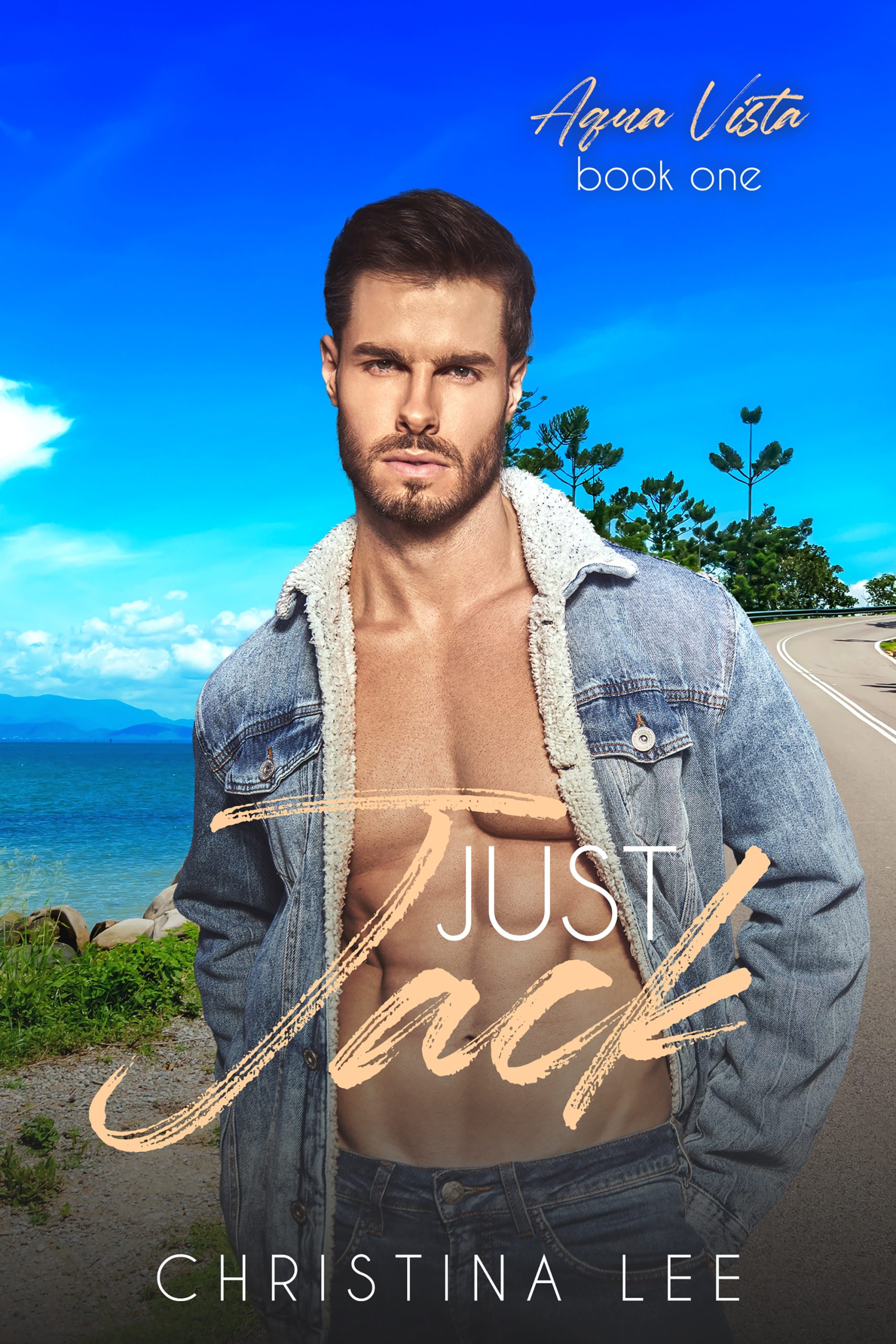 Just-Jack-by-Christina-Lee-PDF-EPUB.jpg