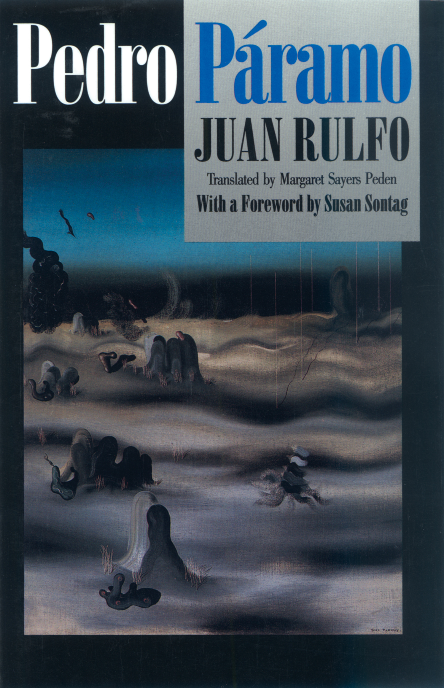 Pedro-Páramo-by-Juan-Rulfo-PDF-EPUB.jpg