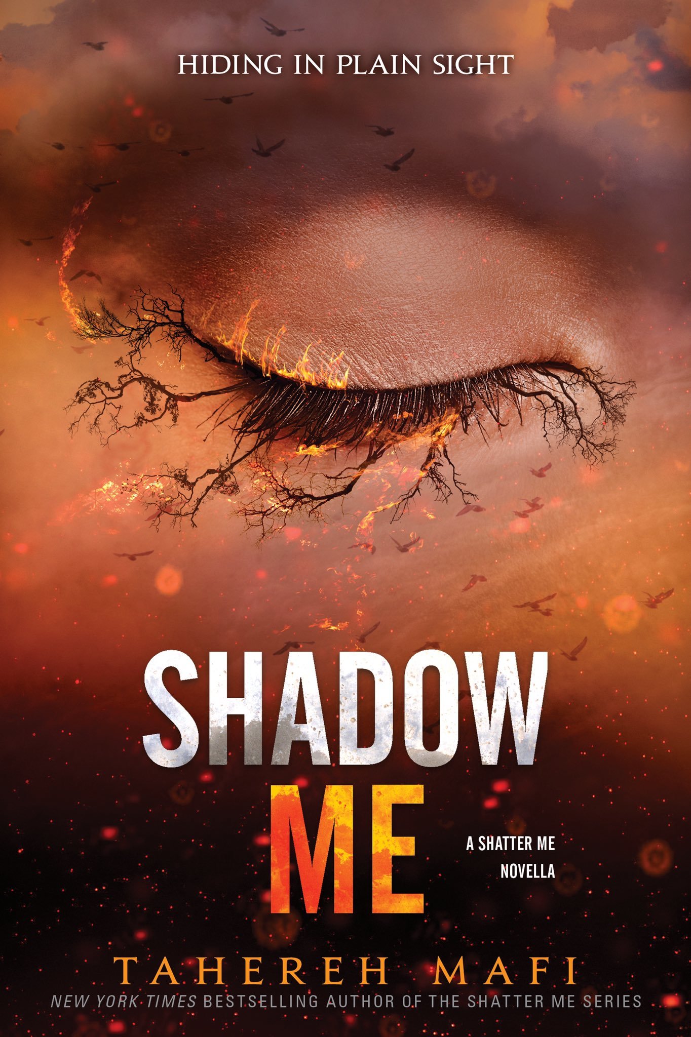 Shadow-Me-by-Tahereh-Mafi-PDF-EPUB.jpg