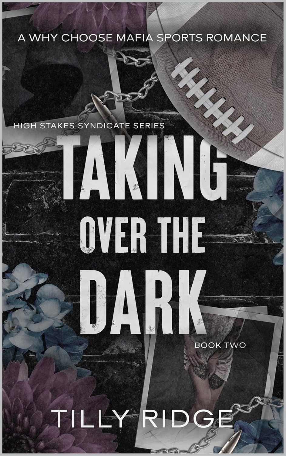 Taking-Over-the-Dark-by-Tilly-Ridge-PDF-EPUB.jpg