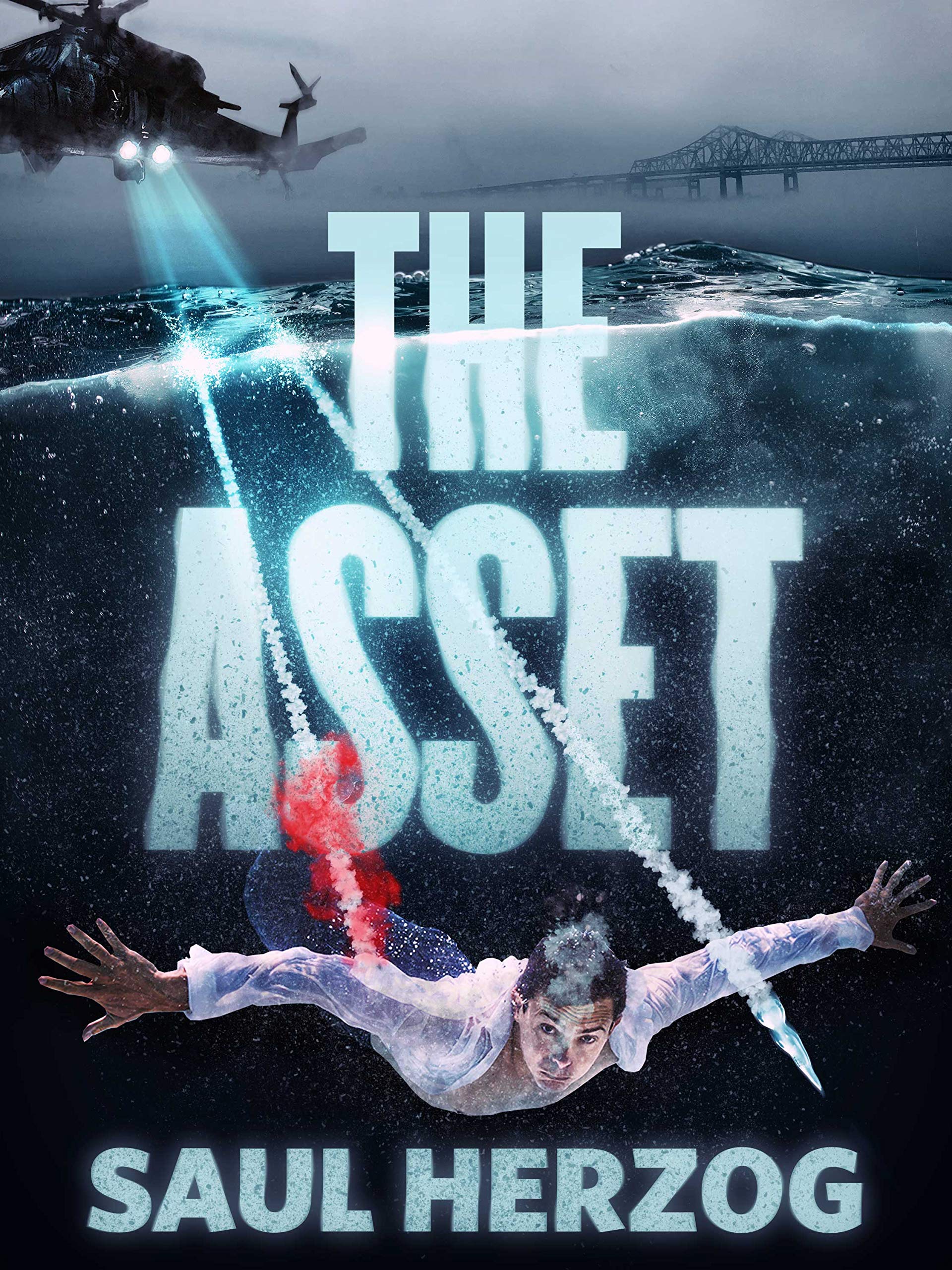 The-Asset-by-Saul-Herzog-PDF-EPUB.jpg