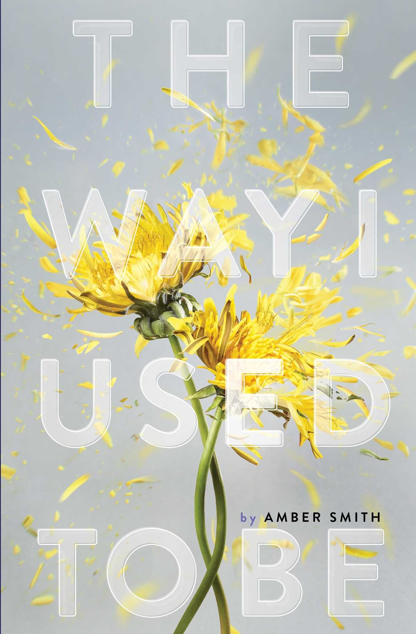 The-Way-I-Used-to-Be-by-Amber-Smith-PDF-EPUB.jpg