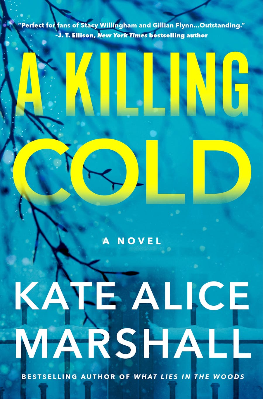 A-Killing-Cold-by-Kate-Alice-Marshall-PDF-EPUB.jpg