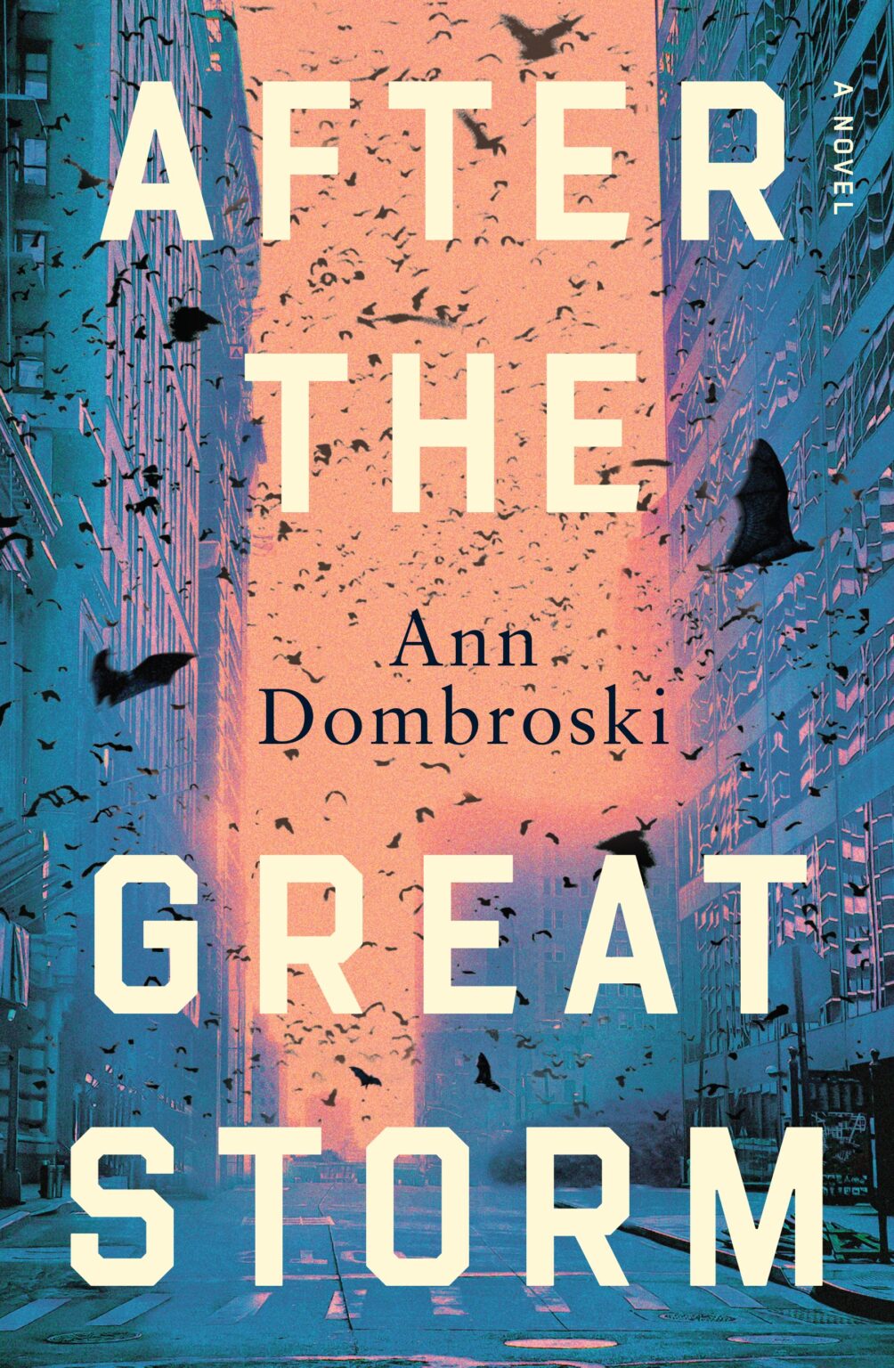 After-the-Great-Storm-by-Ann-Dombroski-PDF-EPUB.jpg