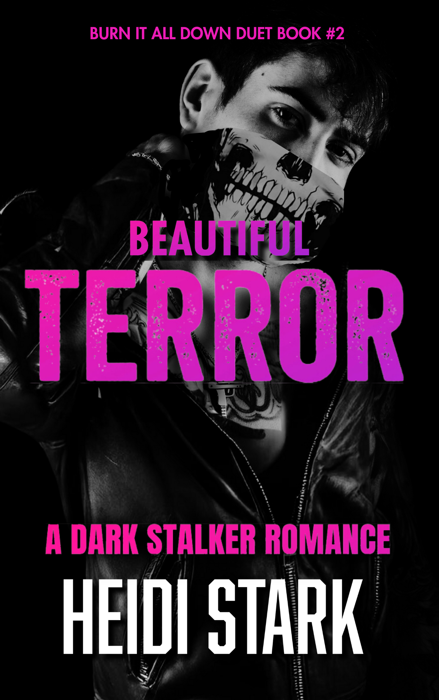 Beautiful-Terror-by-Heidi-Stark-PDF-EPUB.jpg