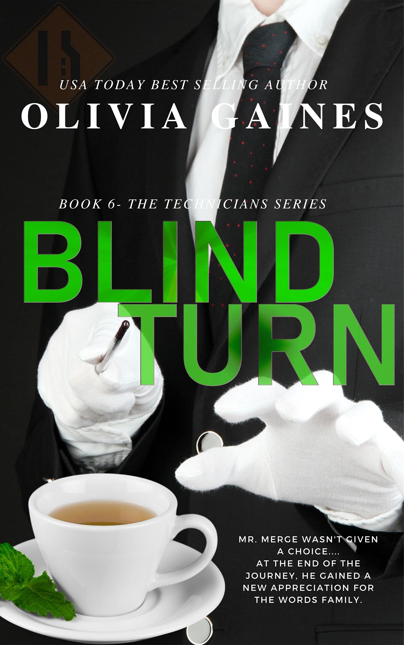 Blind-Turn-by-Olivia-Gaines-PDF-EPUB.jpg