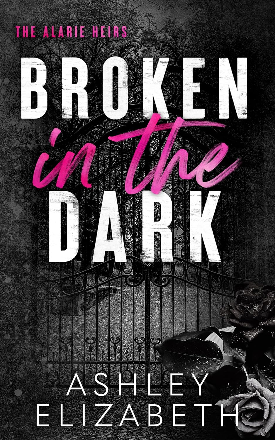 Broken-in-the-Dark-by-Ashley-Elizabeth-PDF-EPUB.jpg