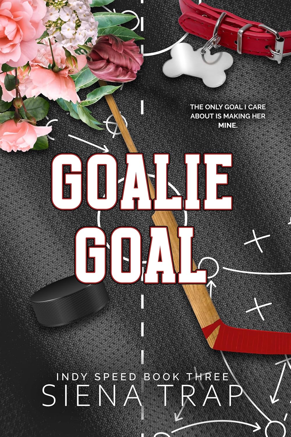 Goalie-Goal-by-Siena-Trap-PDF-EPUB.jpg