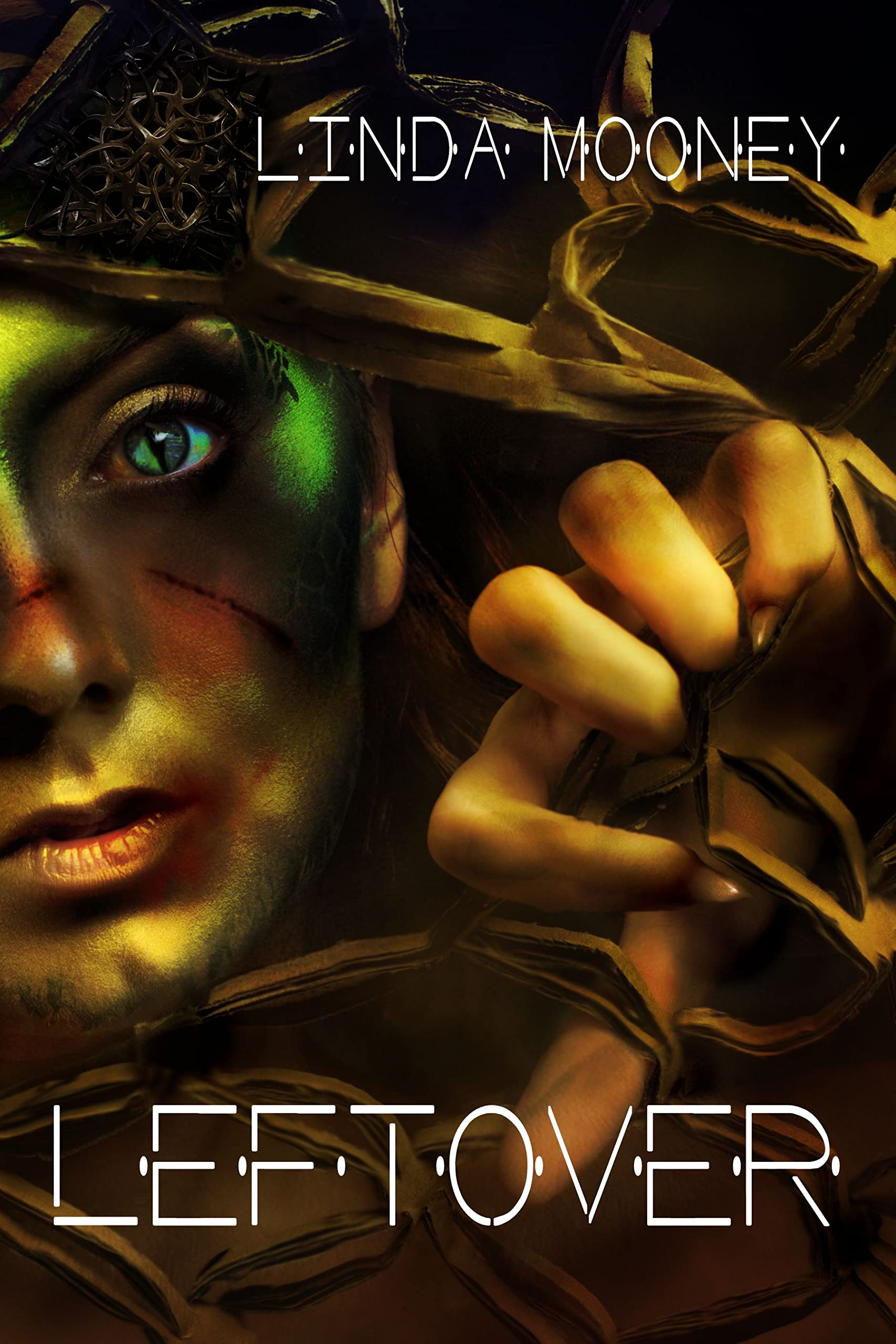 Leftover-by-Linda-Mooney-PDF-EPUB.jpg